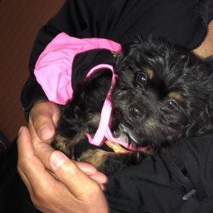 Meet your Posher, Lisa